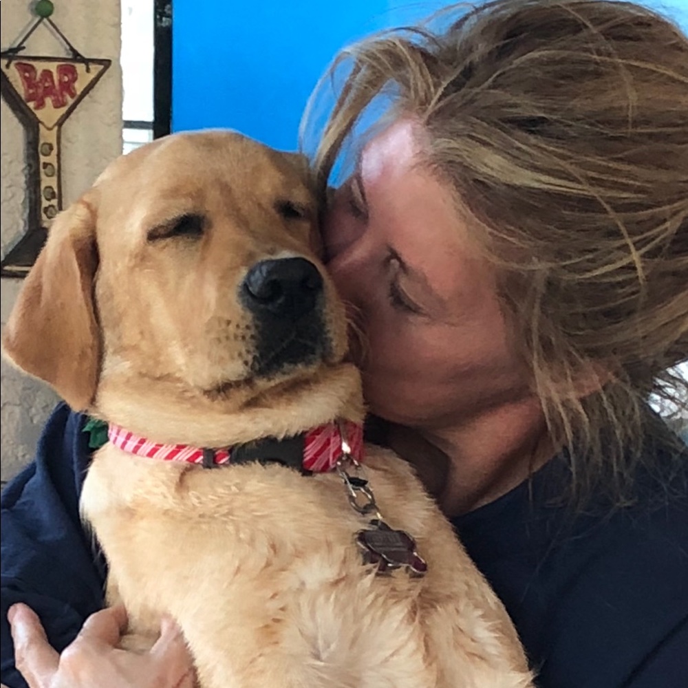 Meet your Posher, Cher